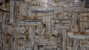 Petrified Wood White