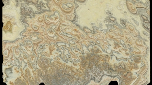 Onice White Florence