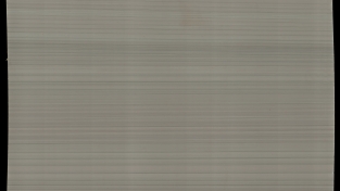 White Macaubus Indian Sandstone