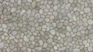 Agate Jellyfish With Gold