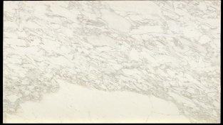Calacatta Arabesque