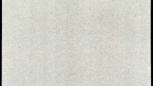 Opal White
