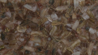 Aragonite Multicolour