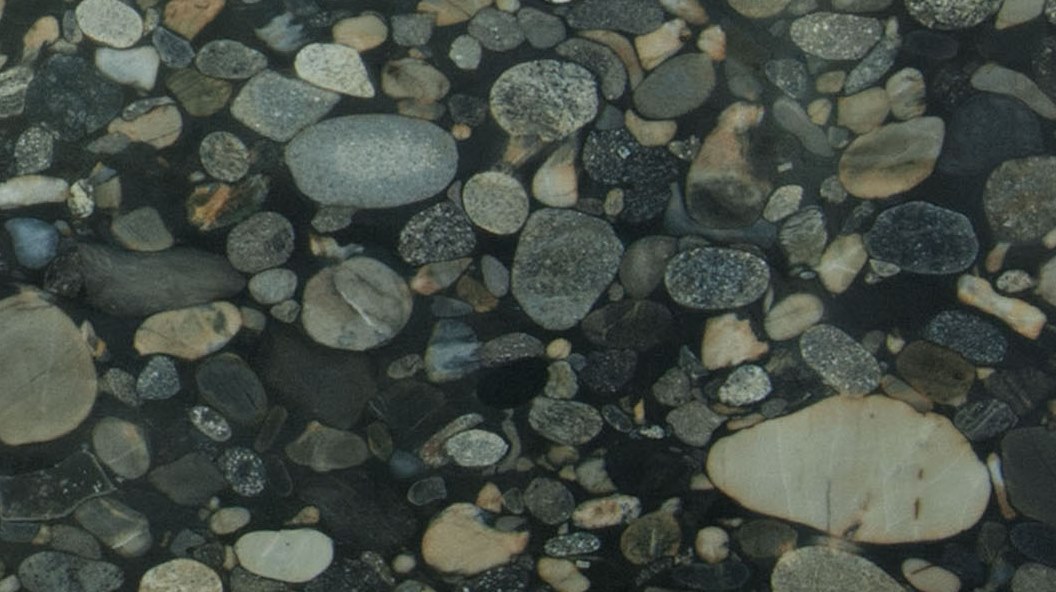 54