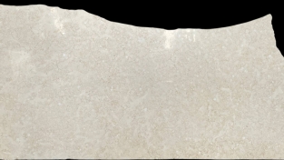 12069