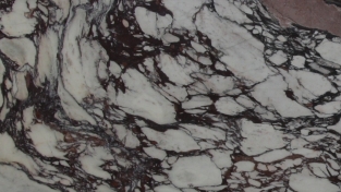 Calacatta Viola