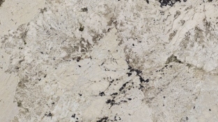 7884